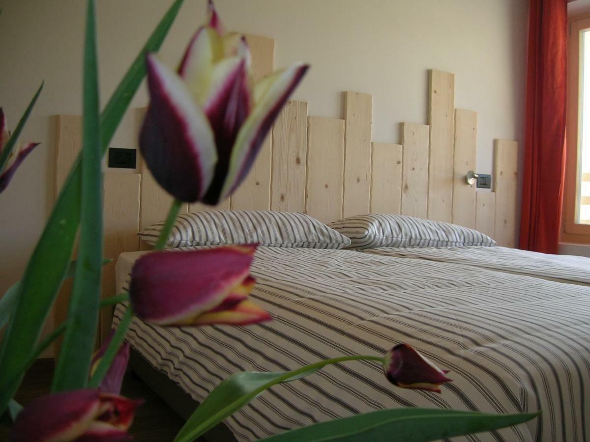 Maso Pertener -adults Friendly-