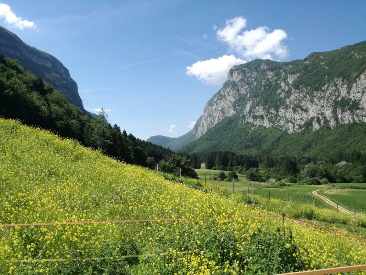 Séjour à la ferme Maso Pertener -adults Friendly- Comano Terme