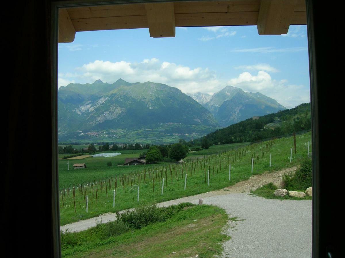 Maso Pertener -adults Friendly-