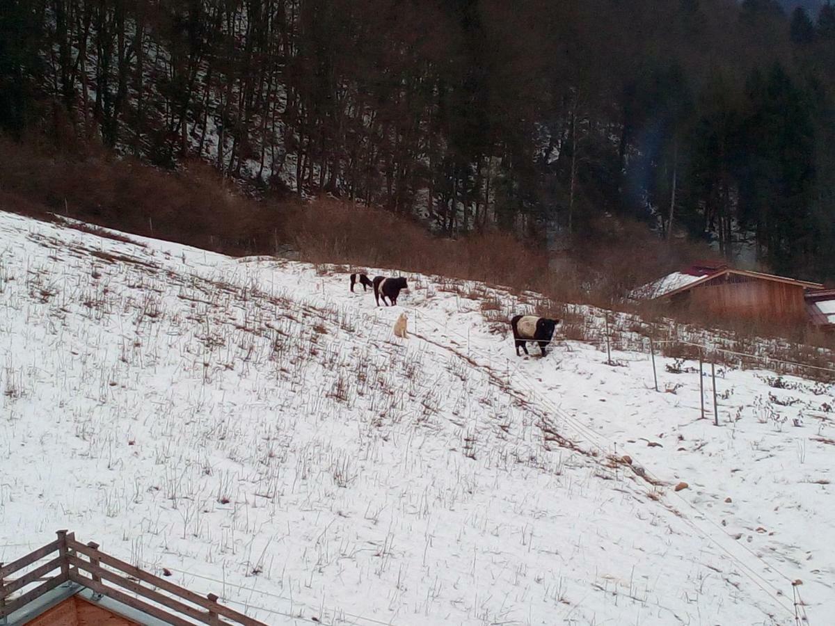 Séjour à la ferme Maso Pertener -adults Friendly-