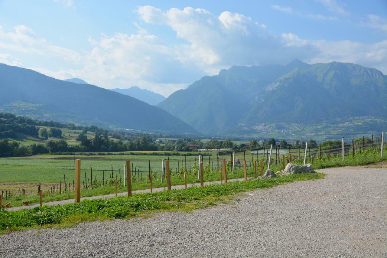 Maso Pertener -adults Friendly-